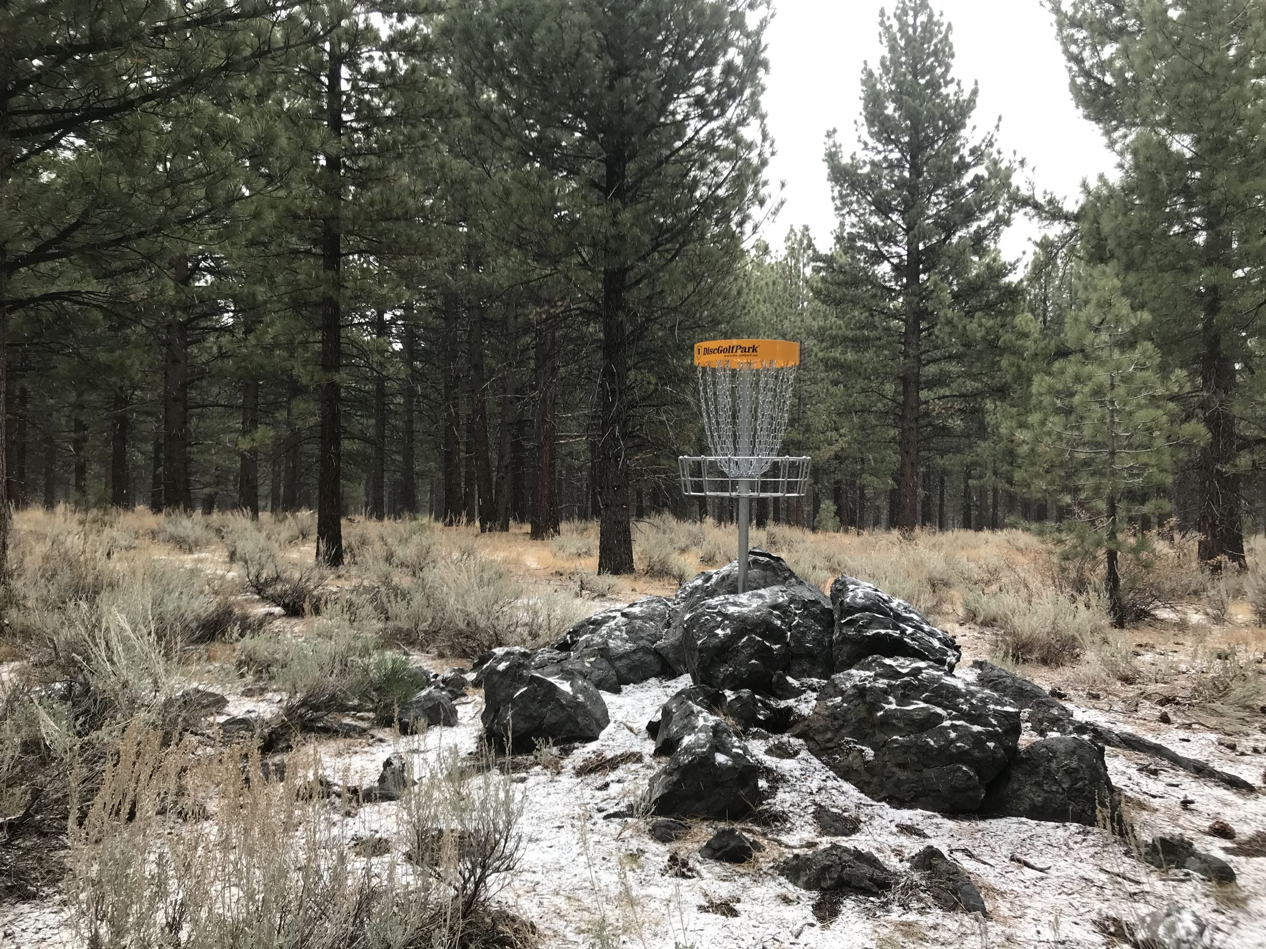 Disc Golf 1