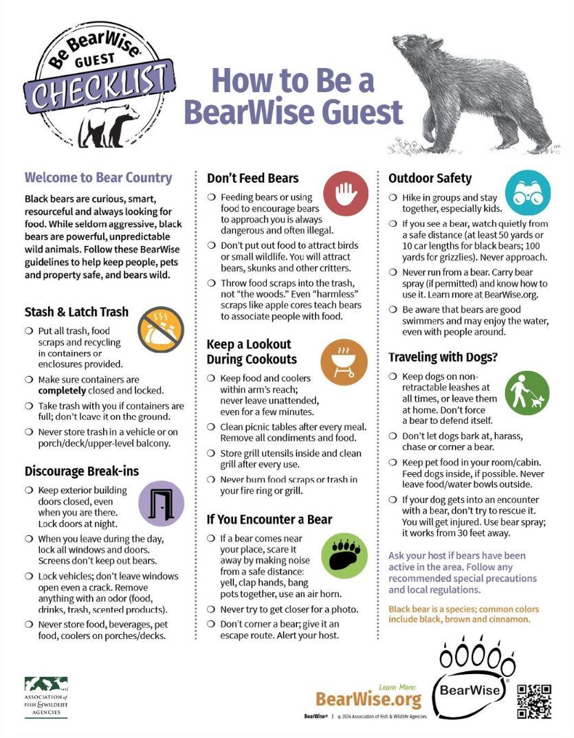 How to be a bearwise guest (3)