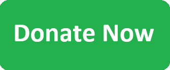 Donate Now Button