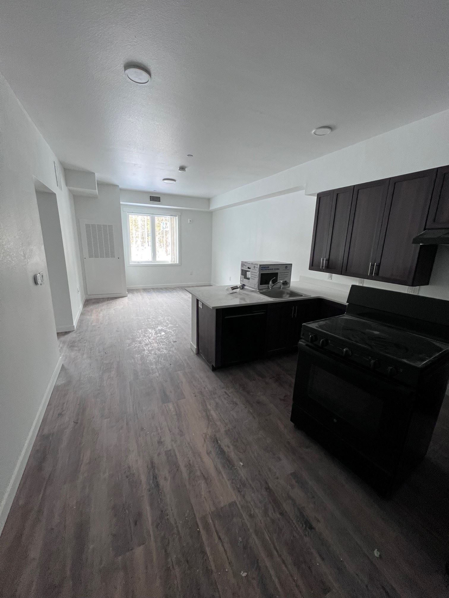 The Saywer kitchen and living room